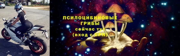 ПСИЛОЦИБИНОВЫЕ ГРИБЫ Покров